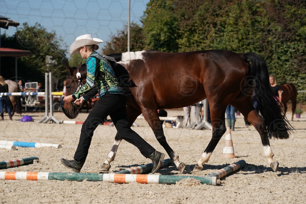 s_A_907633.JPG